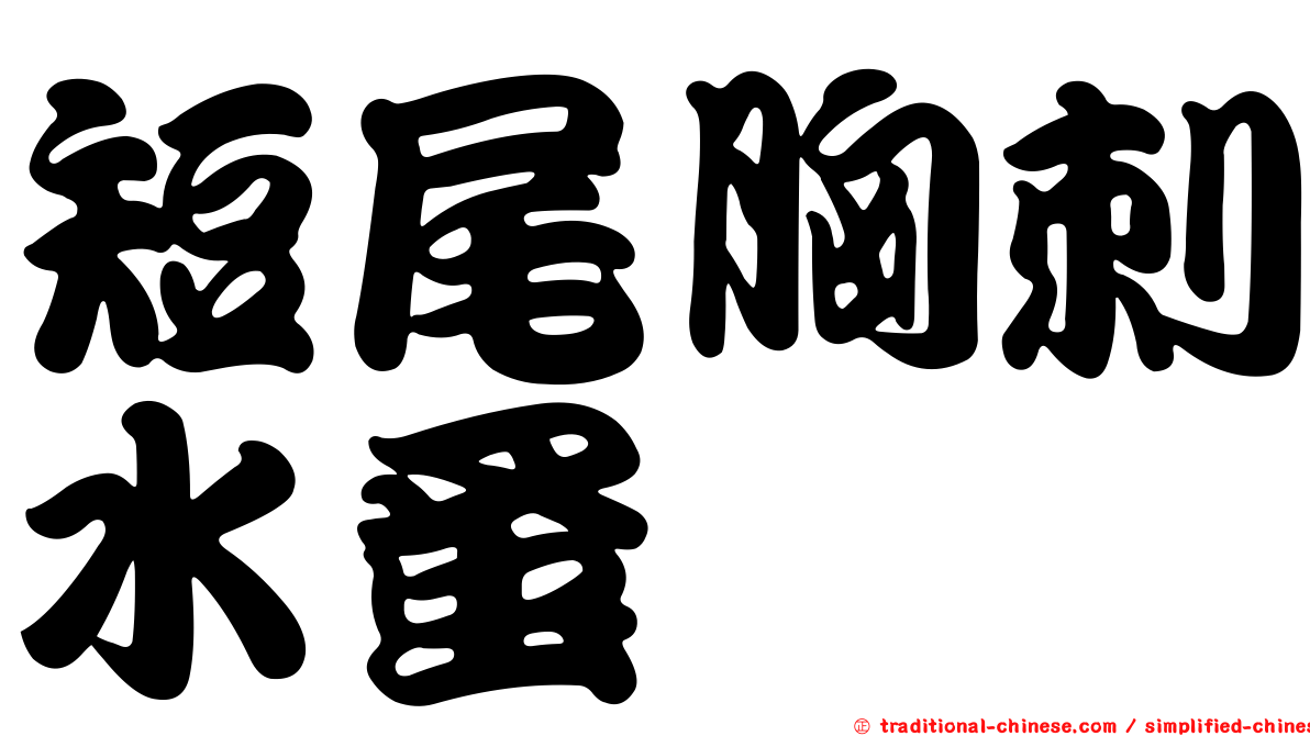 短尾胸刺水蚤