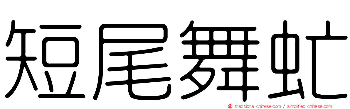 短尾舞虻