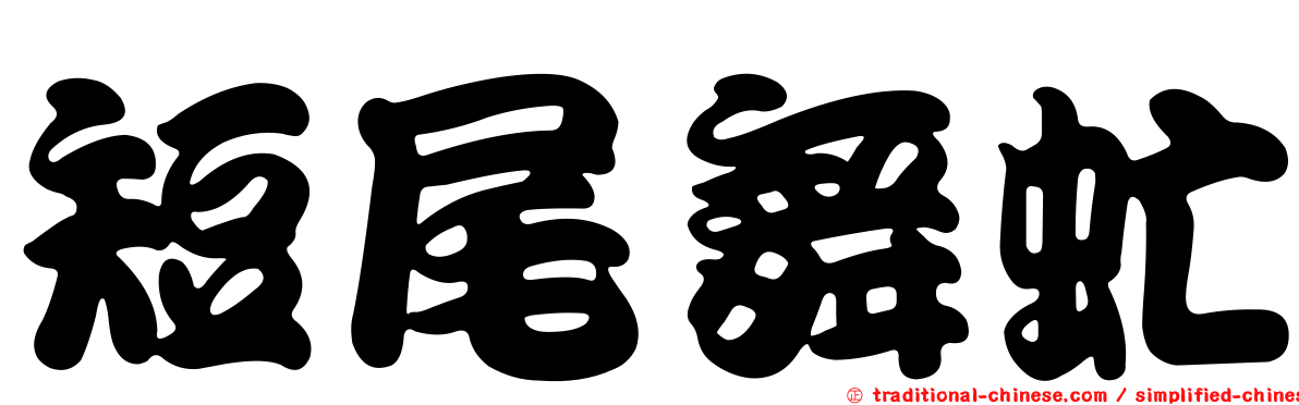 短尾舞虻