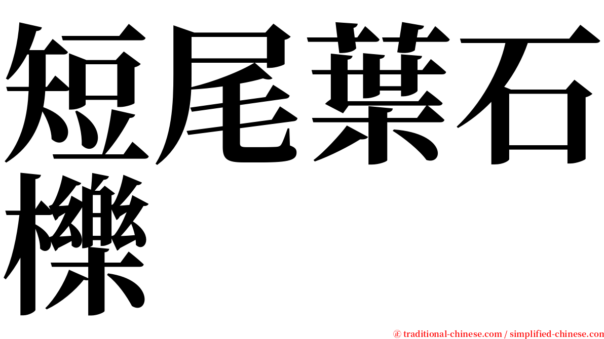 短尾葉石櫟 serif font