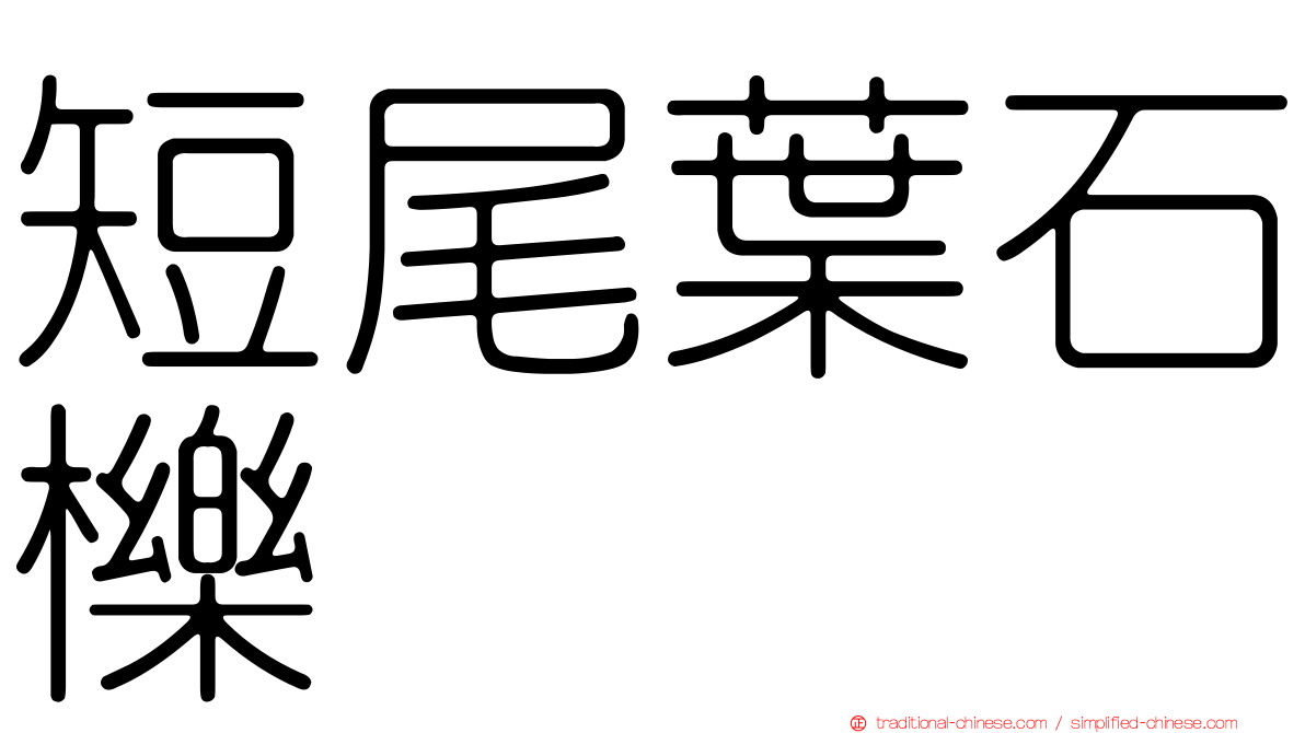 短尾葉石櫟