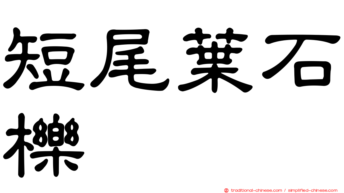 短尾葉石櫟