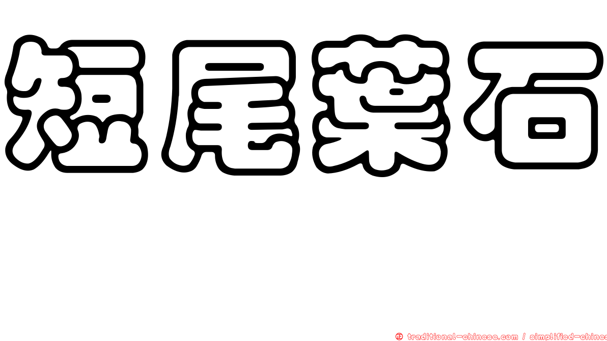 短尾葉石櫟