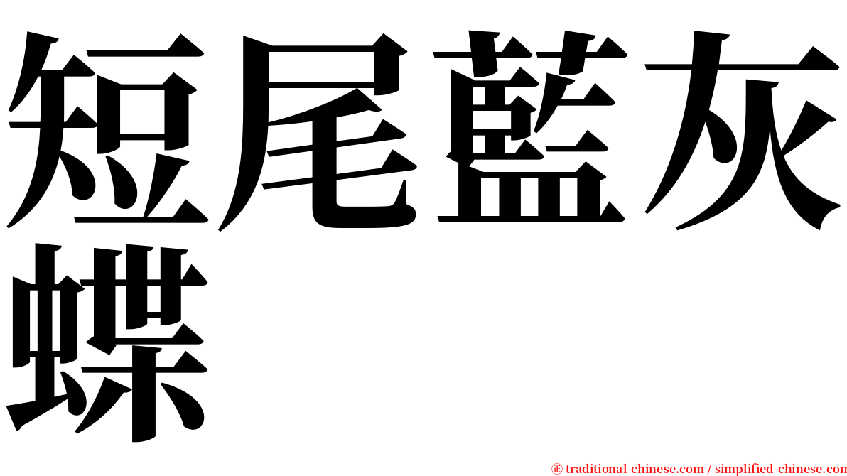 短尾藍灰蝶 serif font