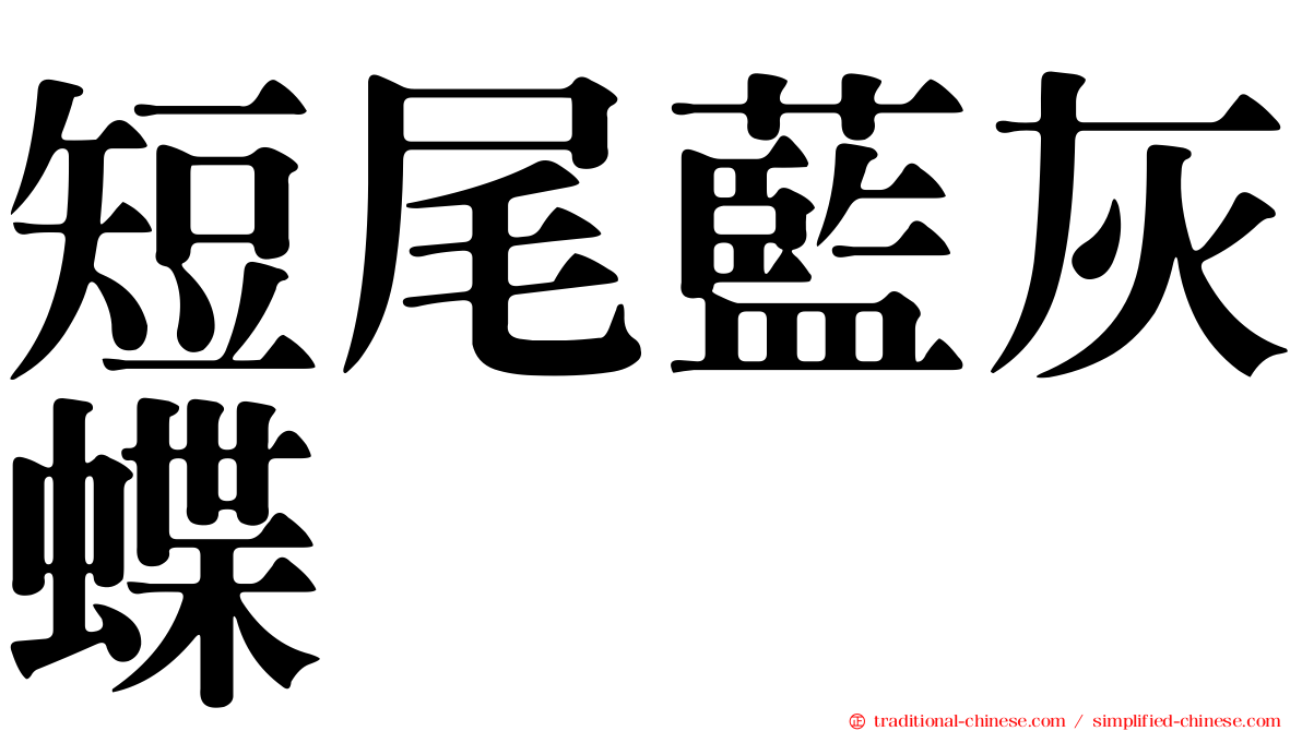 短尾藍灰蝶