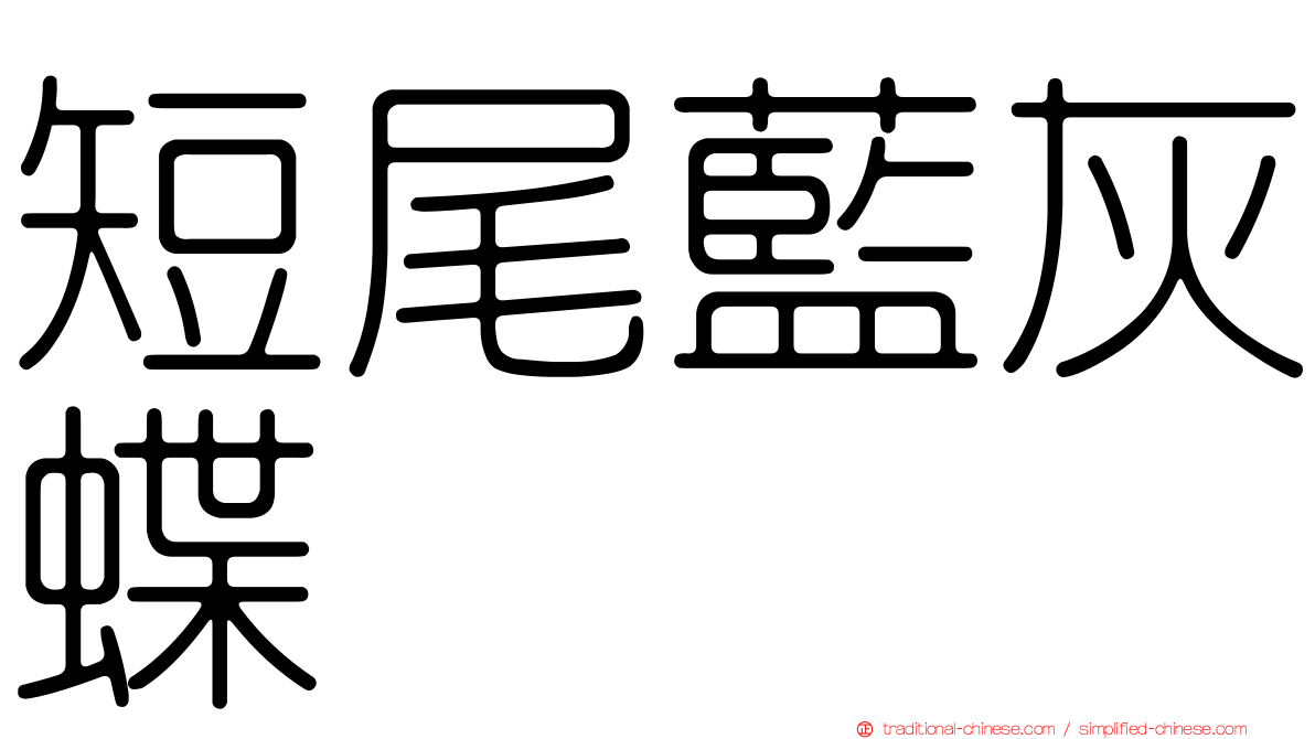 短尾藍灰蝶