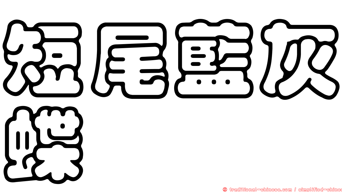 短尾藍灰蝶