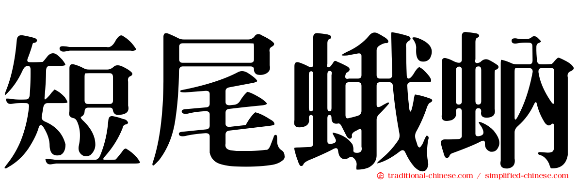 短尾蛾蚋