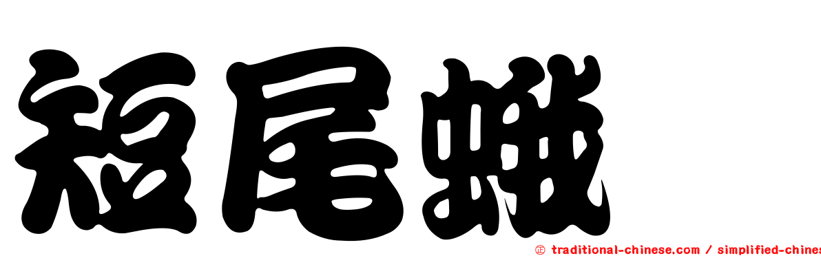 短尾蛾蚋