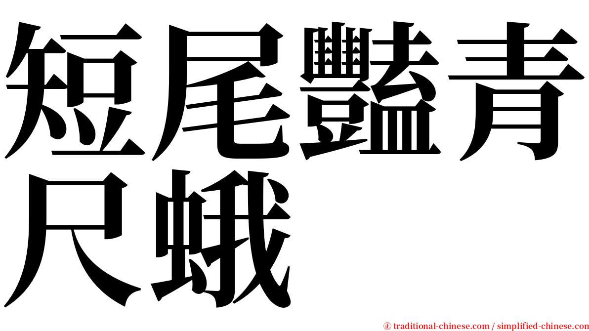 短尾豔青尺蛾 serif font