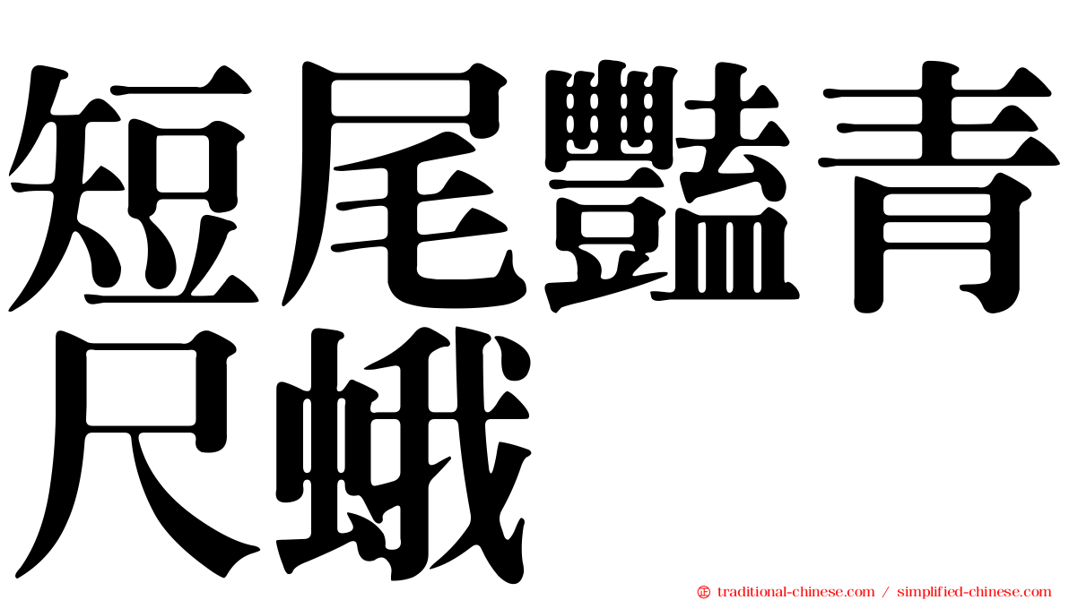 短尾豔青尺蛾
