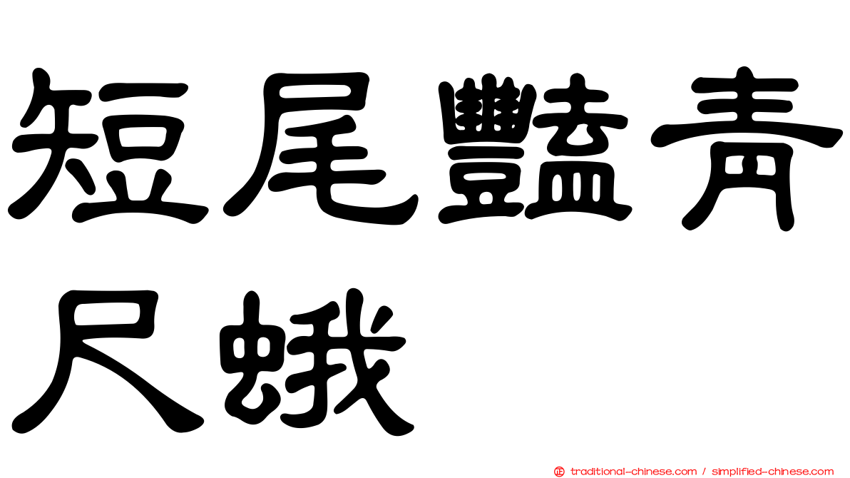 短尾豔青尺蛾