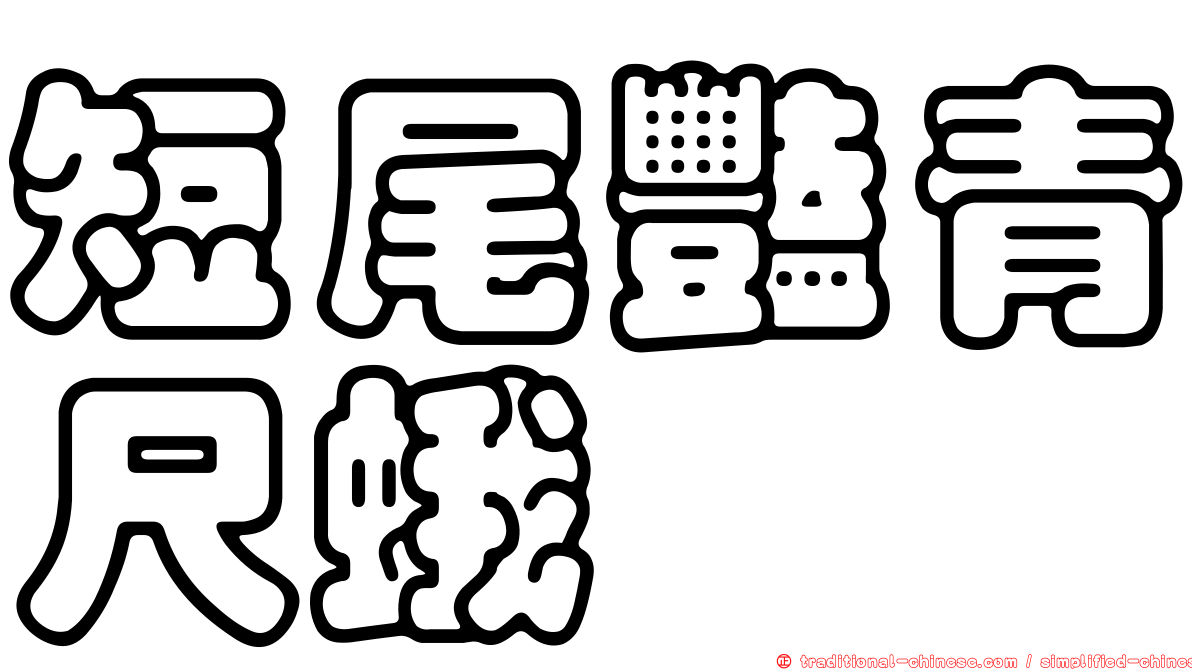 短尾豔青尺蛾