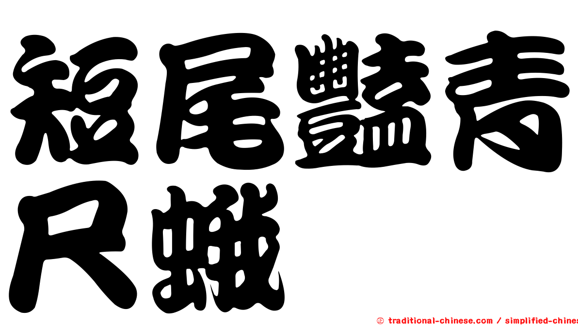 短尾豔青尺蛾