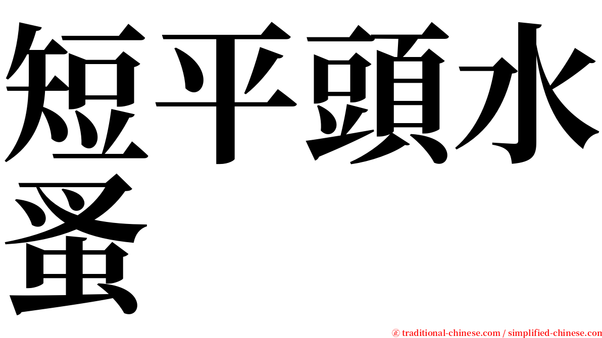 短平頭水蚤 serif font