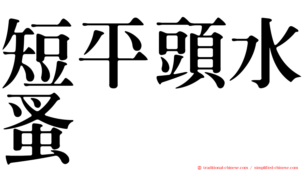 短平頭水蚤