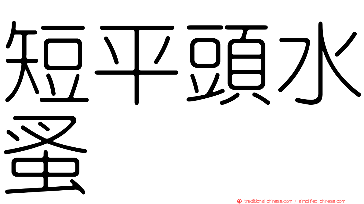 短平頭水蚤