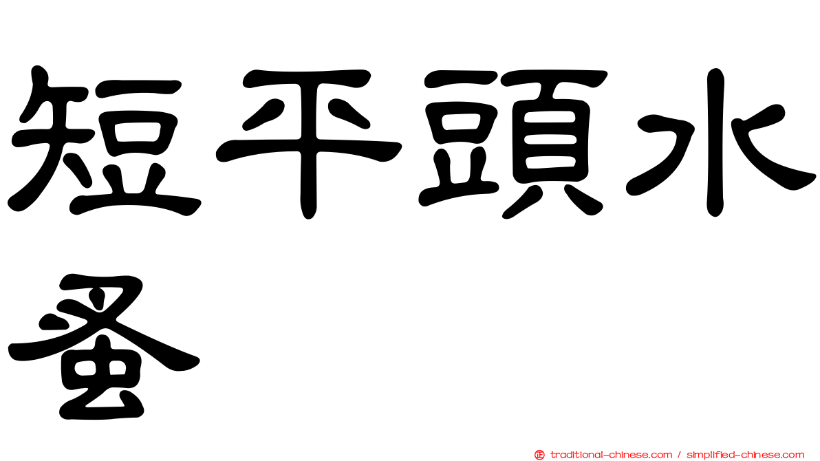 短平頭水蚤