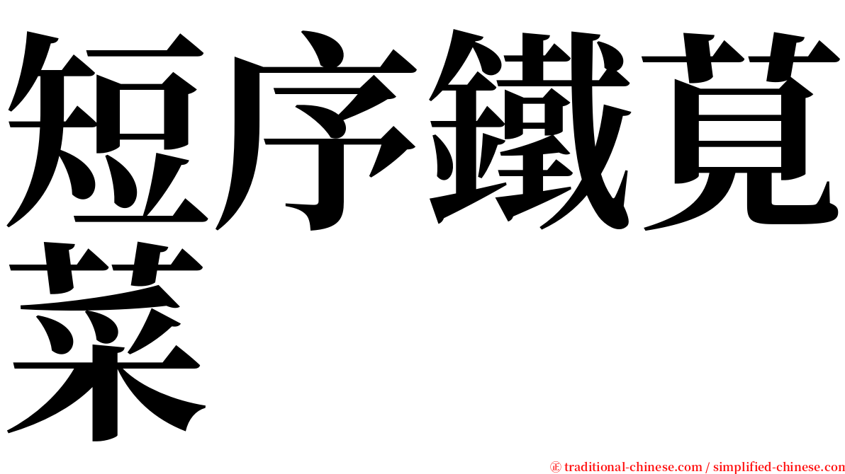 短序鐵莧菜 serif font