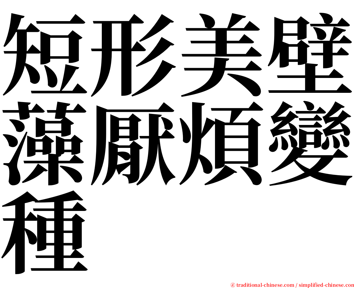 短形美壁藻厭煩變種 serif font