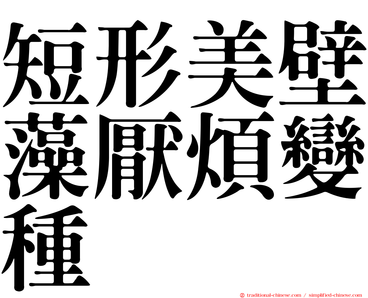 短形美壁藻厭煩變種