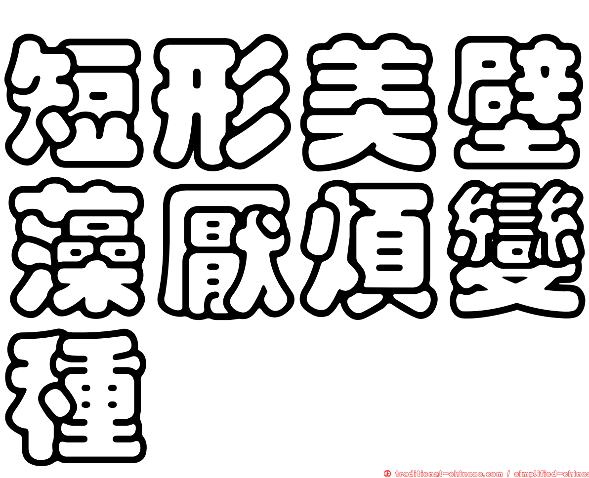 短形美壁藻厭煩變種