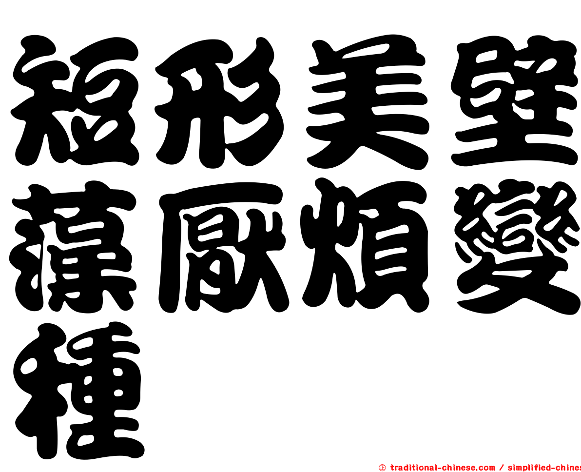 短形美壁藻厭煩變種