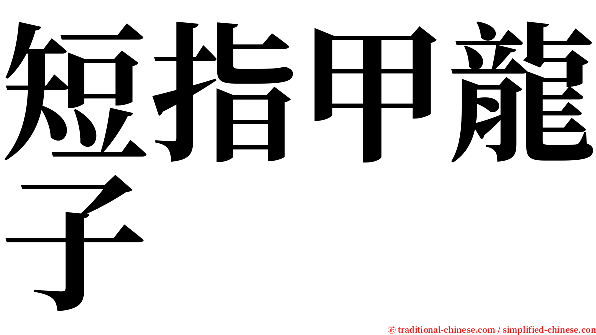 短指甲龍子 serif font