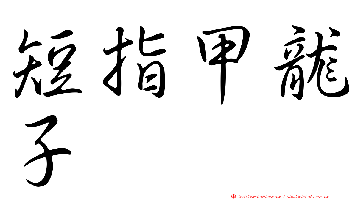 短指甲龍子