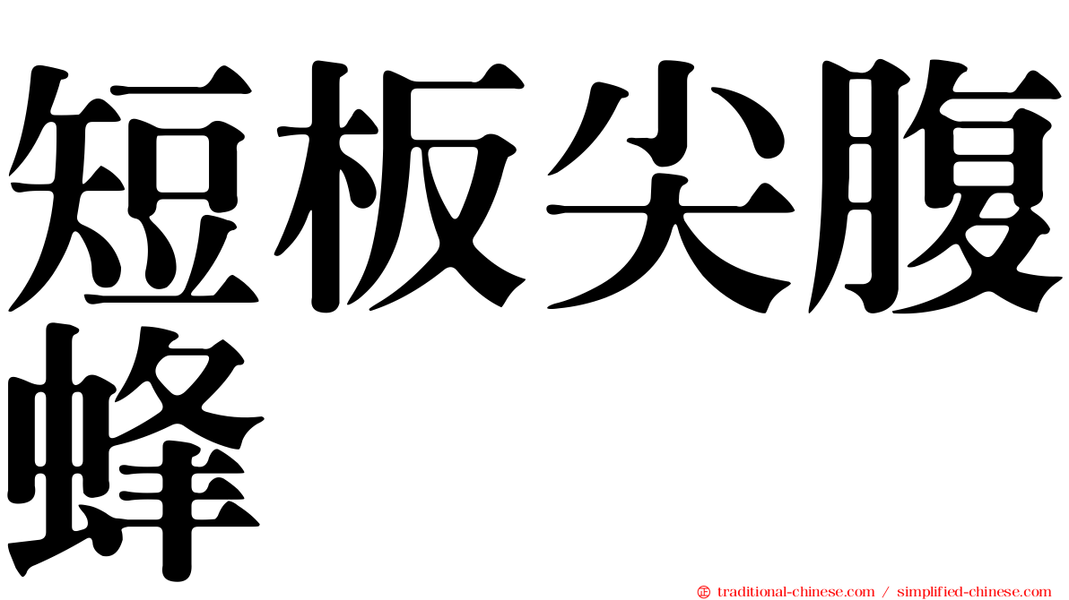 短板尖腹蜂