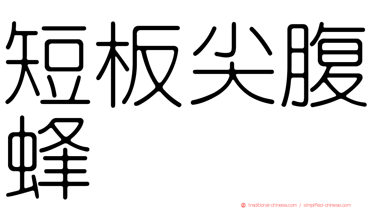 短板尖腹蜂