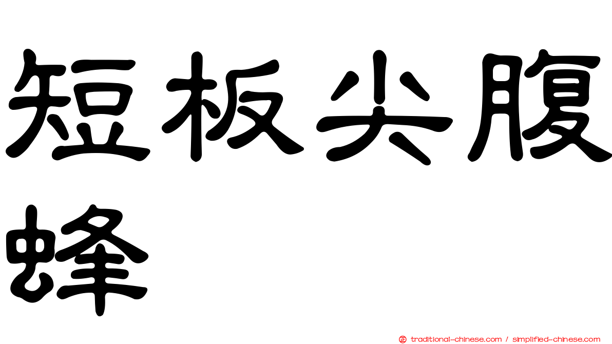 短板尖腹蜂
