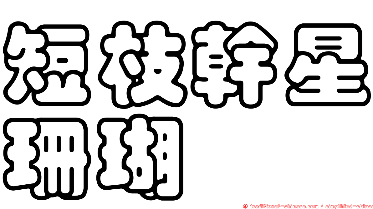 短枝幹星珊瑚