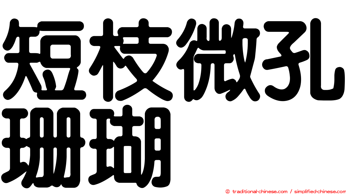 短枝微孔珊瑚