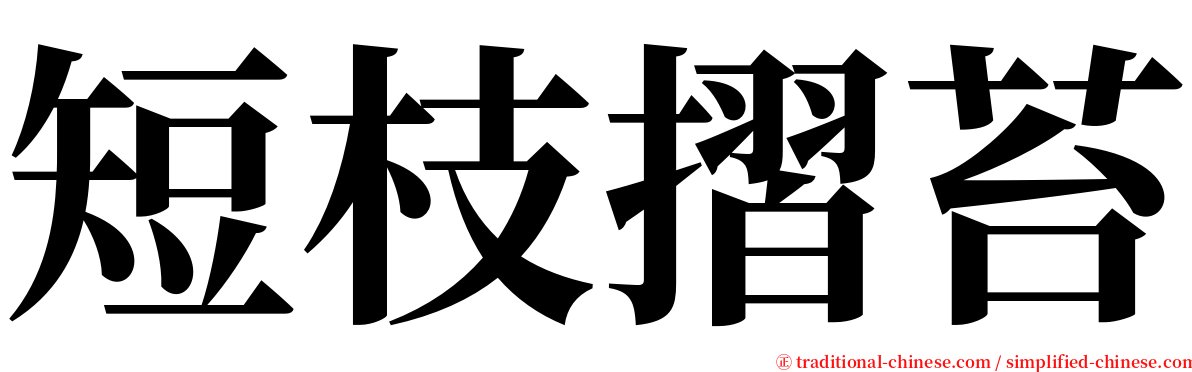短枝摺苔 serif font