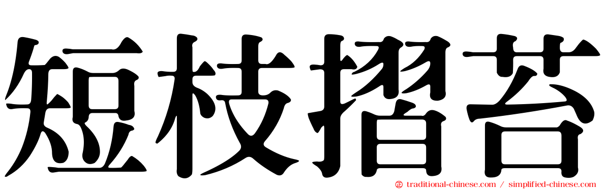短枝摺苔