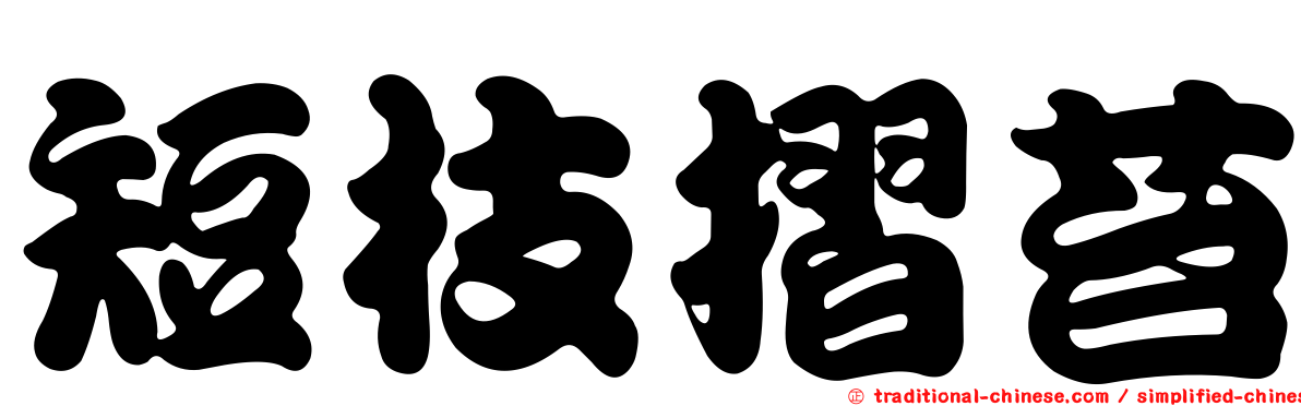 短枝摺苔