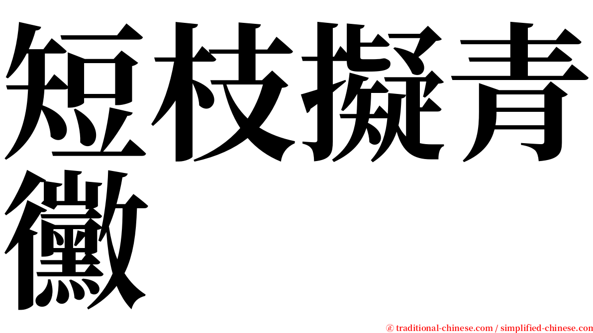 短枝擬青黴 serif font
