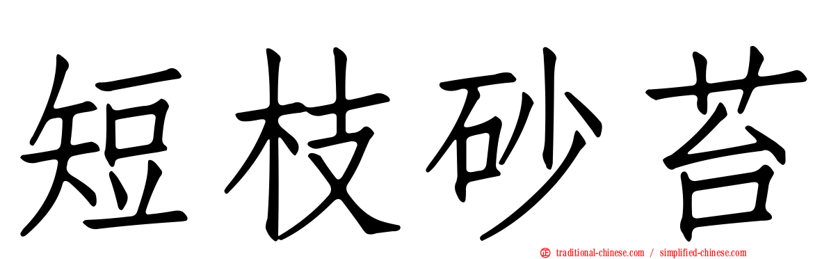 短枝砂苔