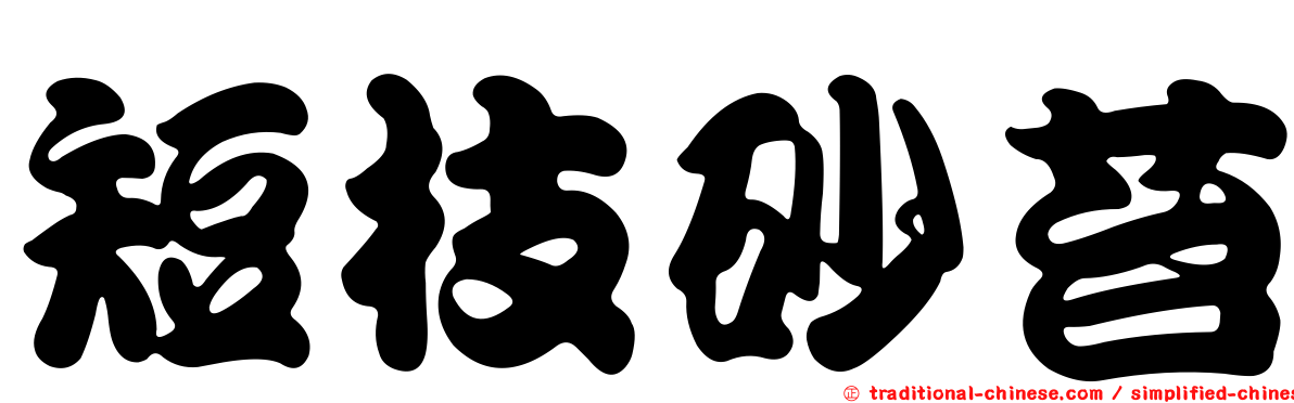 短枝砂苔