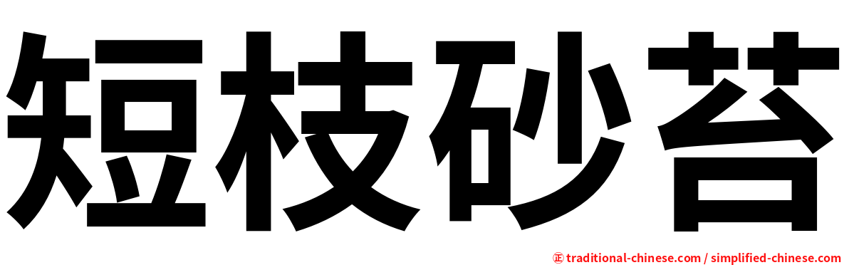 短枝砂苔