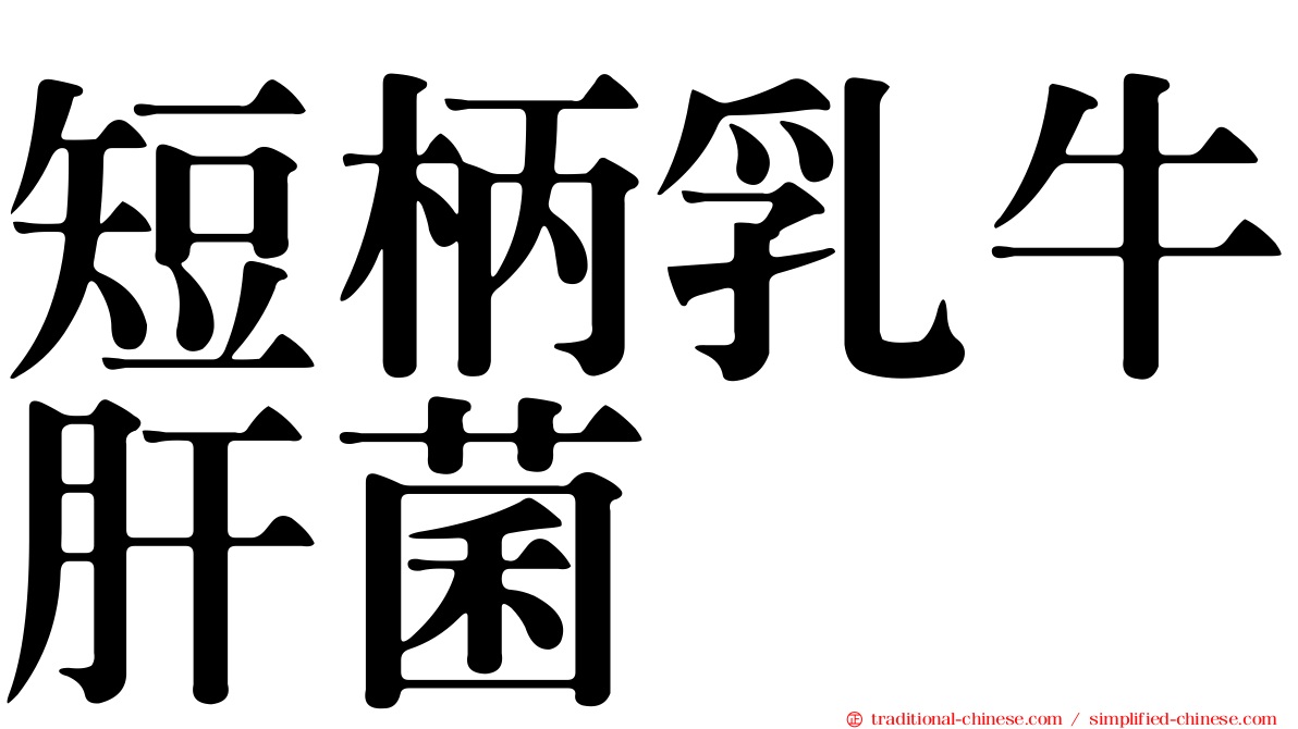 短柄乳牛肝菌