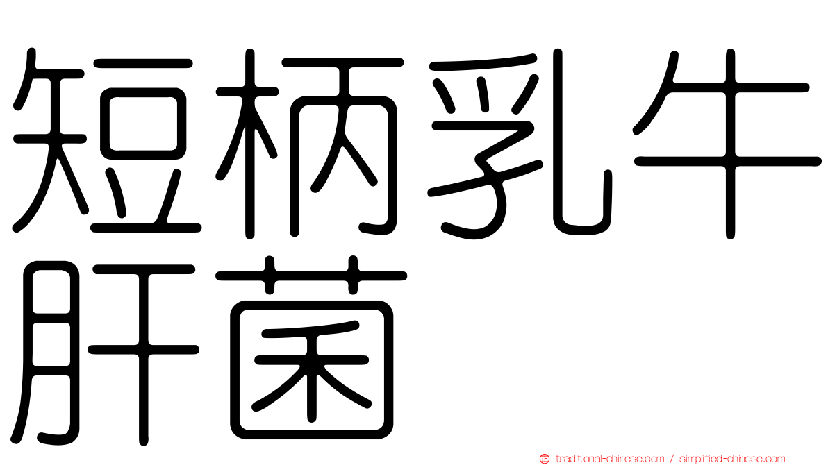 短柄乳牛肝菌