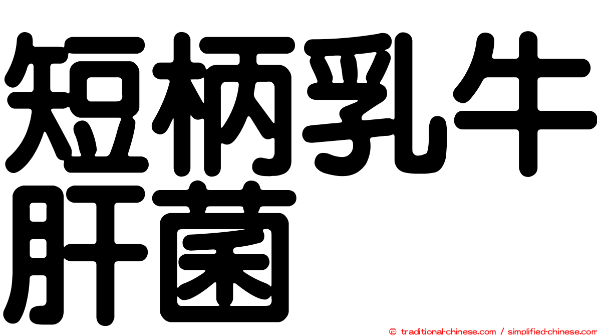 短柄乳牛肝菌