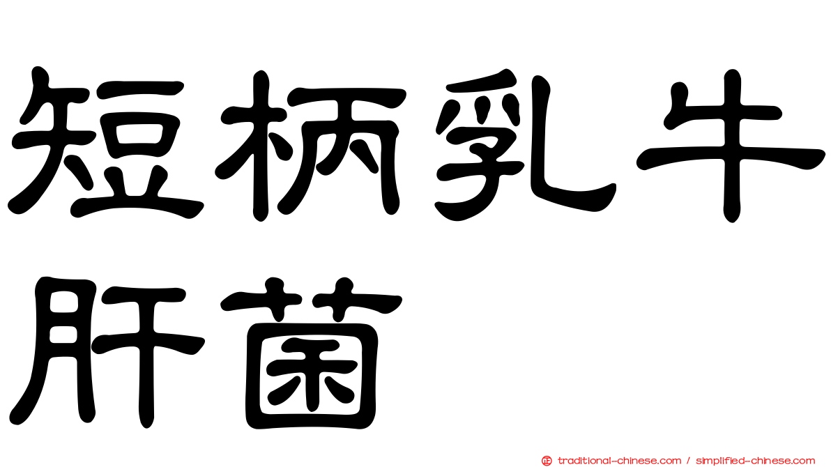 短柄乳牛肝菌