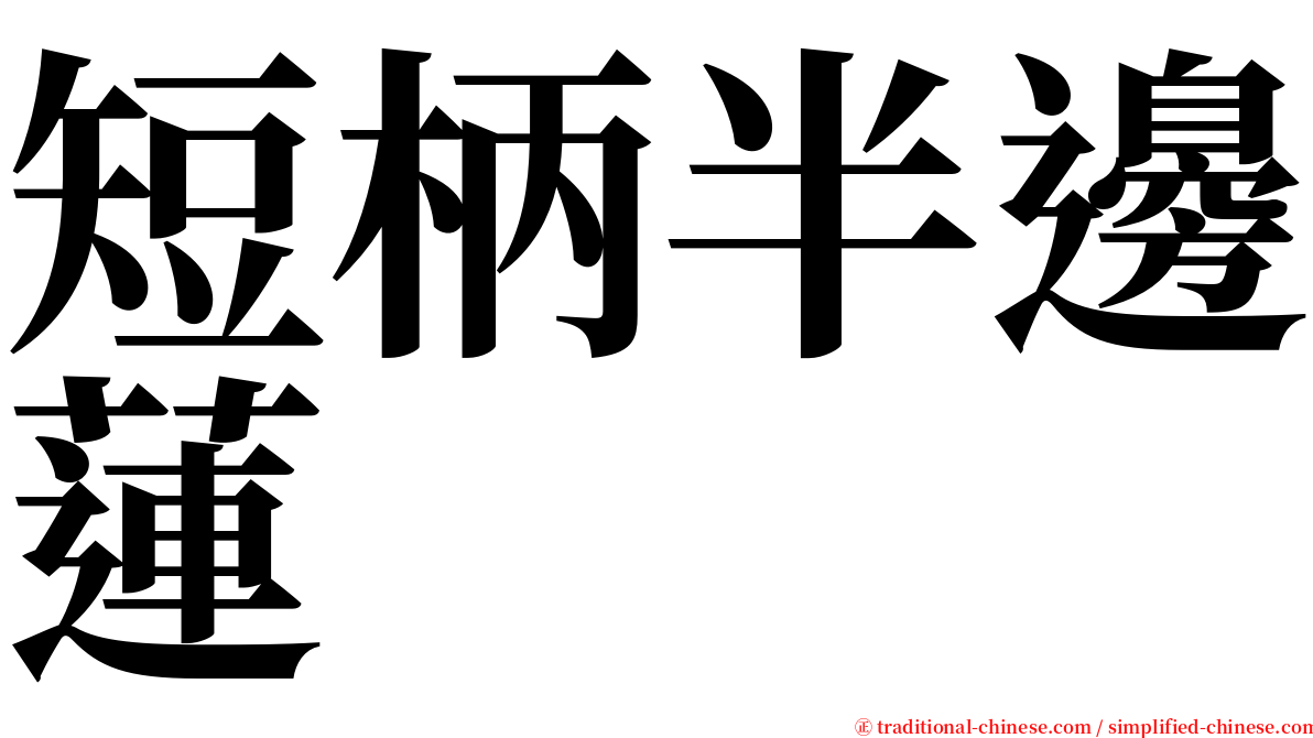 短柄半邊蓮 serif font