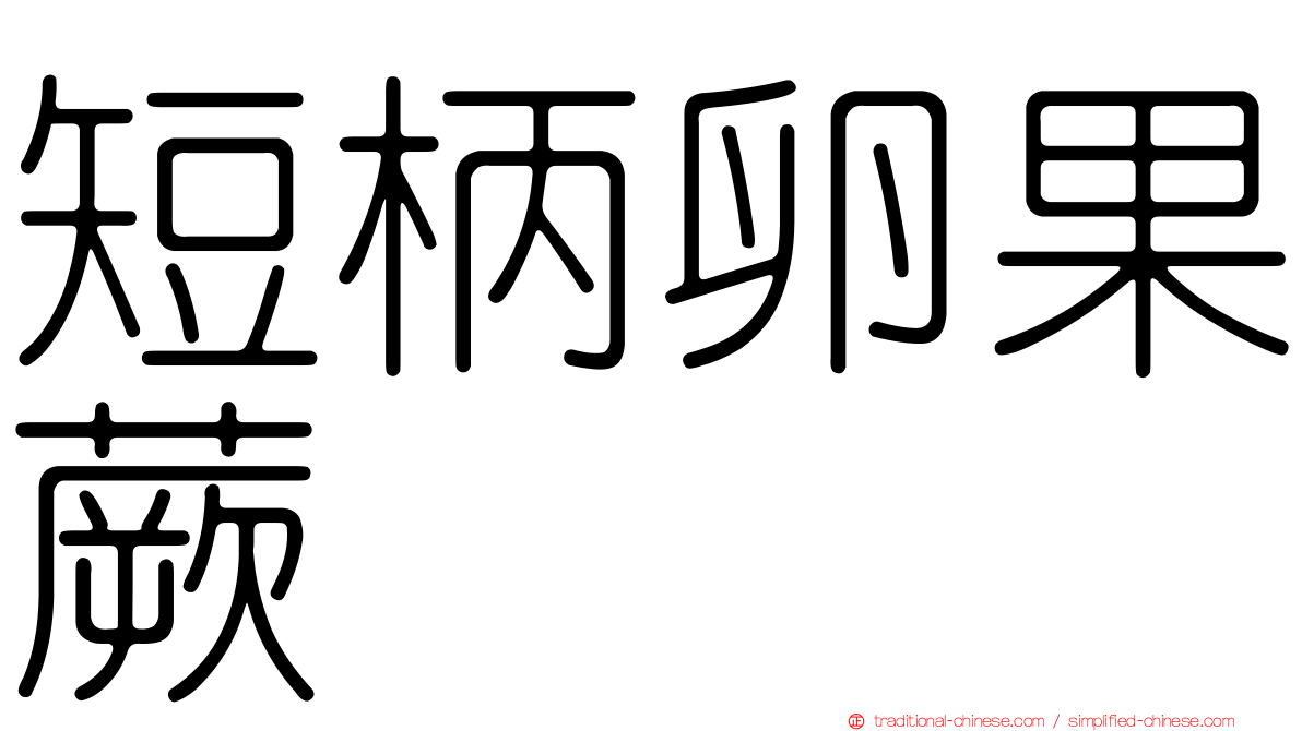 短柄卵果蕨