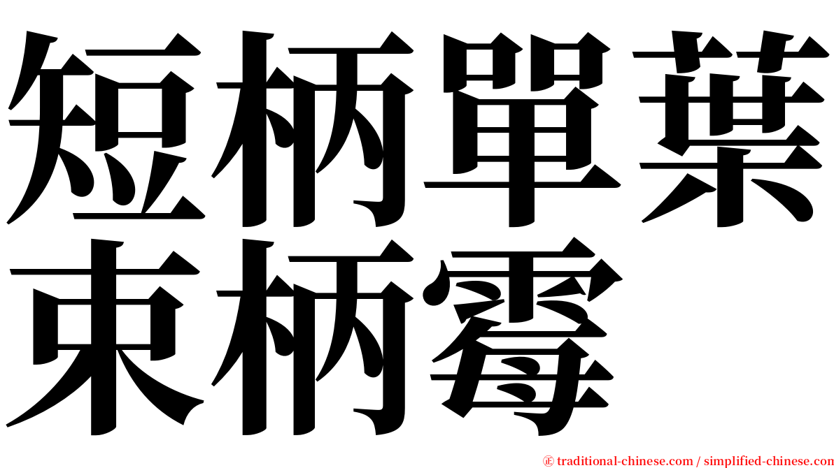 短柄單葉束柄霉 serif font