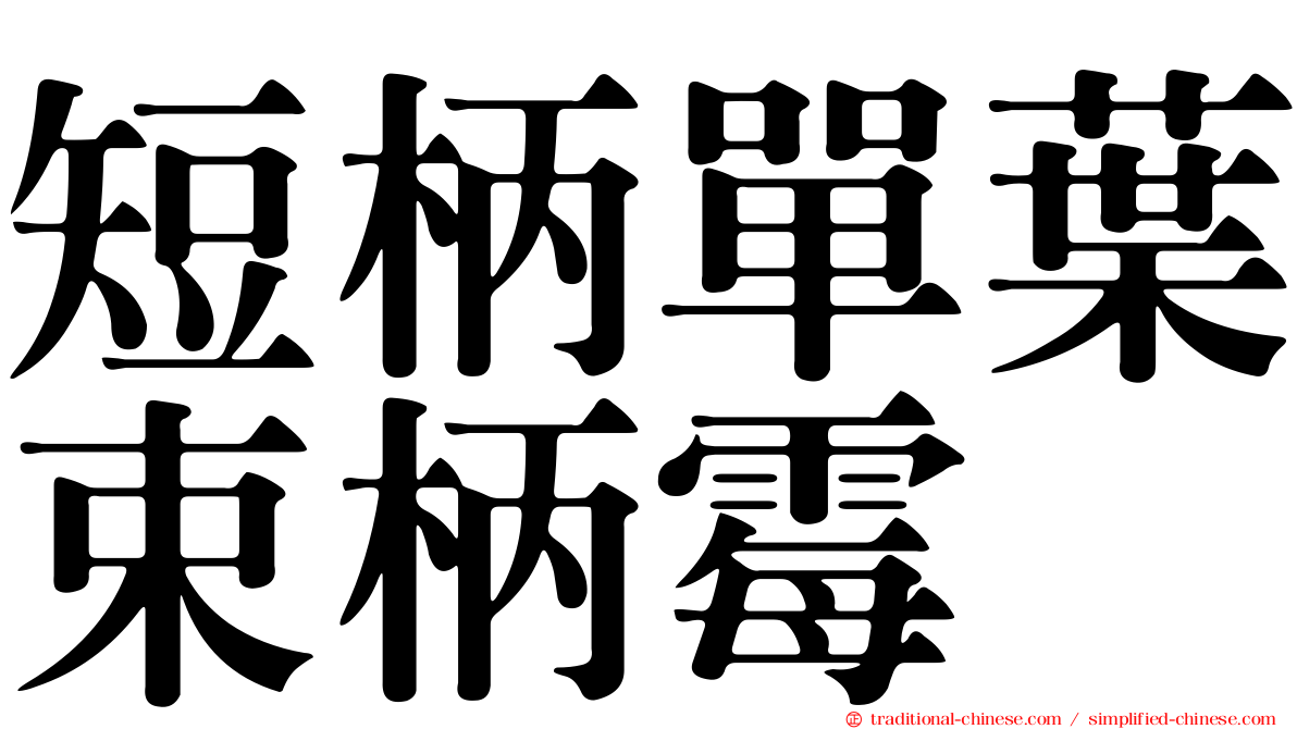 短柄單葉束柄霉