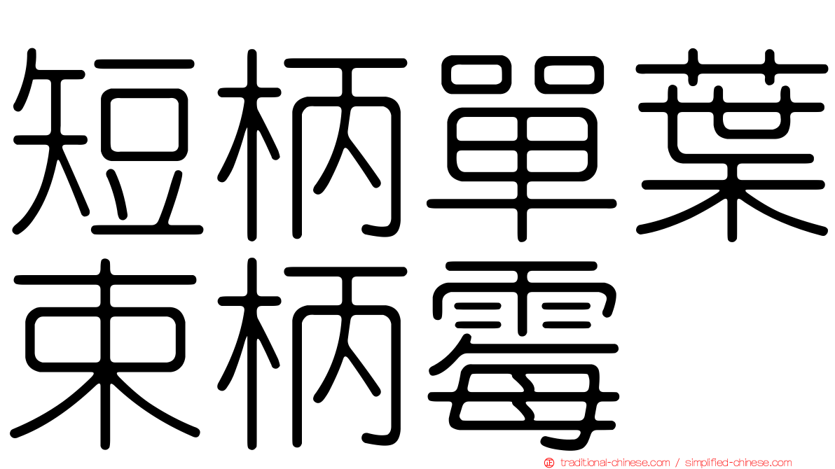 短柄單葉束柄霉